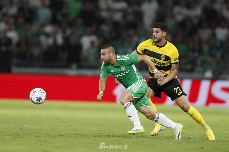 上树立了榜 上树立了榜